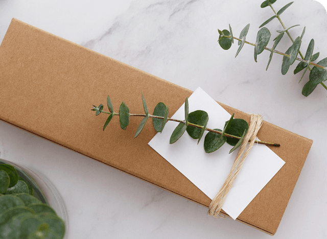 Cosmetic packaging mockups